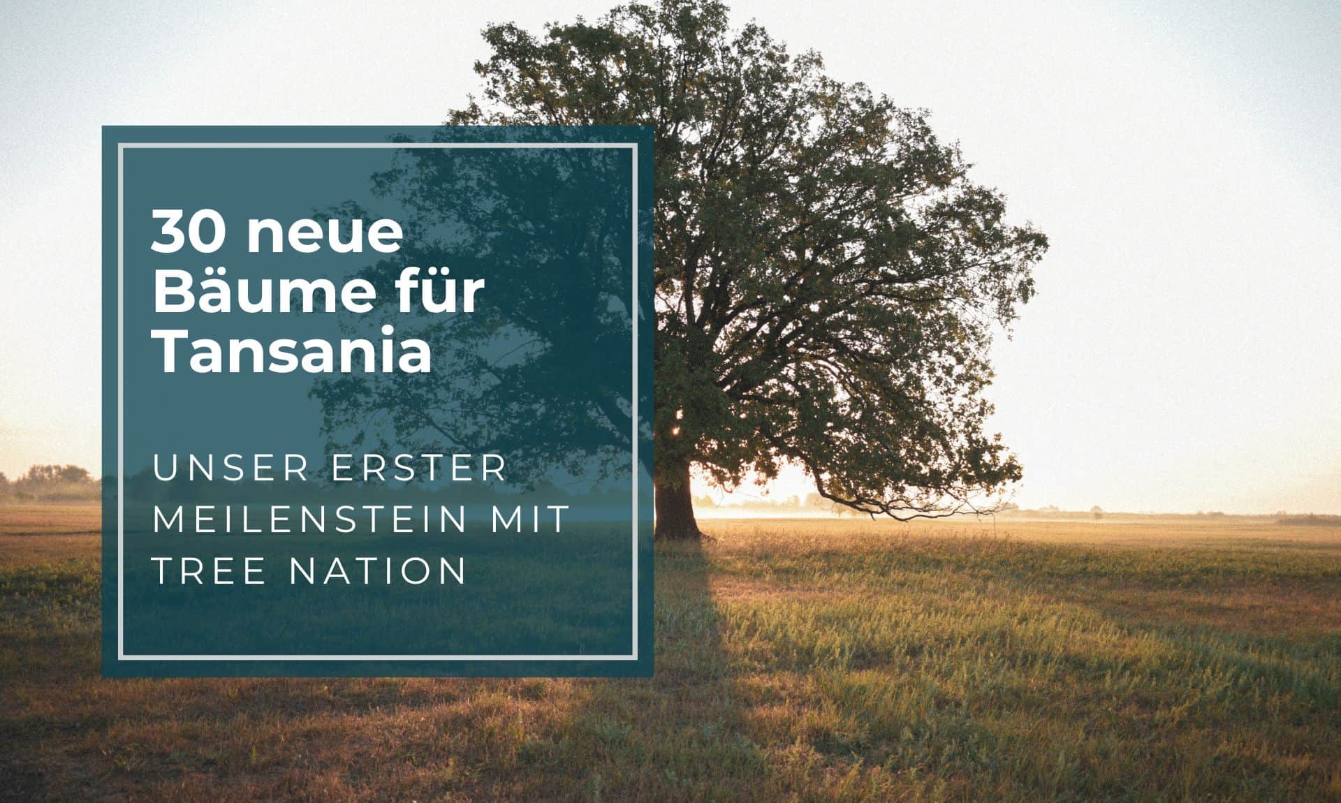 30 neue Bäume für Tansania: Unser erster Meilenstein mit Tree-Nation
